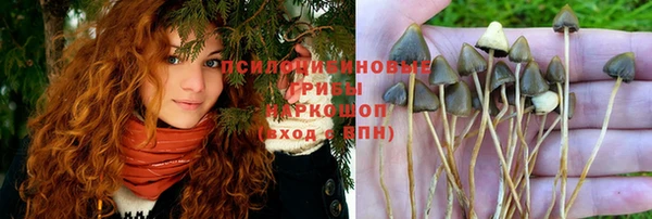 ALPHA PVP Михайловск