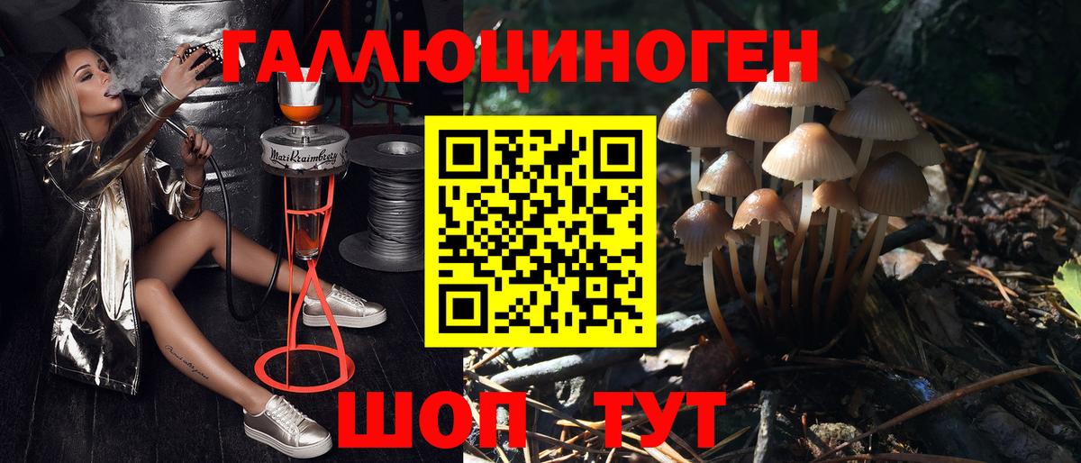 как найти закладки  Вход с VPN  Астрахань  Псилоцибиновые грибы GOLDEN TEACHER 