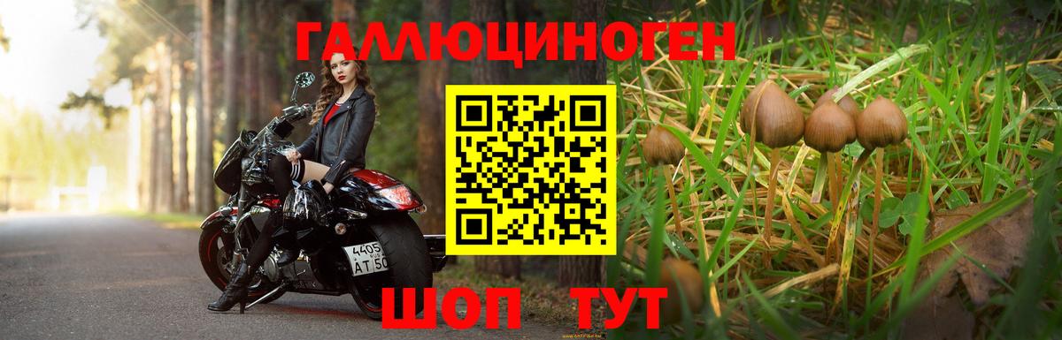 Галлюциногенные грибы MAGIC MUSHROOMS Астрахань